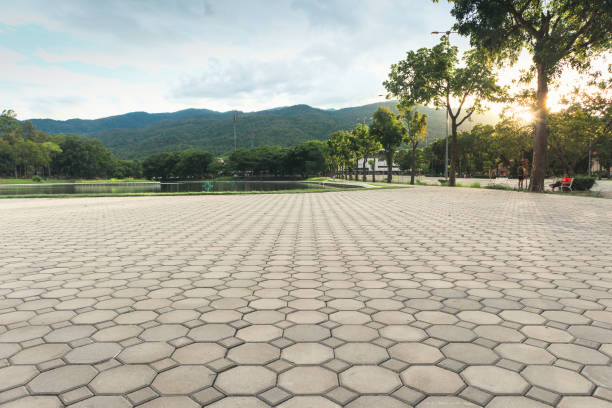 Best Brick Driveway Pavers  in Oakwood, GA